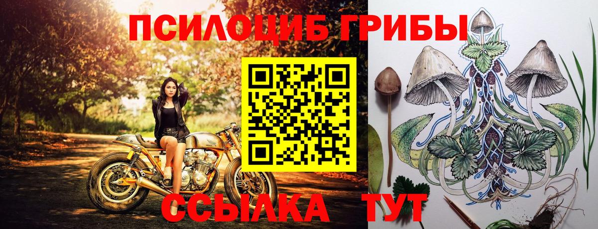 Галлюциногенные грибы ЛСД  Вход с VPN  Корсаков  Псилоцибиновые грибы Cubensis 